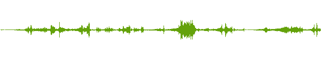  45 落ち葉の上で体重移動(ちょっとした音) ミシ